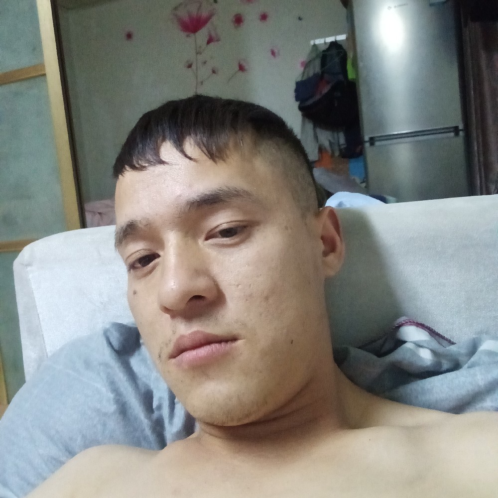 康乃馨干净的照片