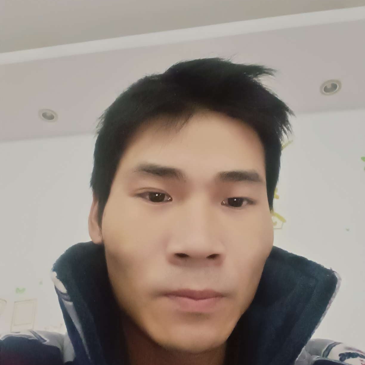 英勇有小蚂蚁的照片