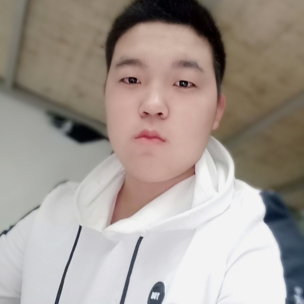 贤惠战斗机的照片