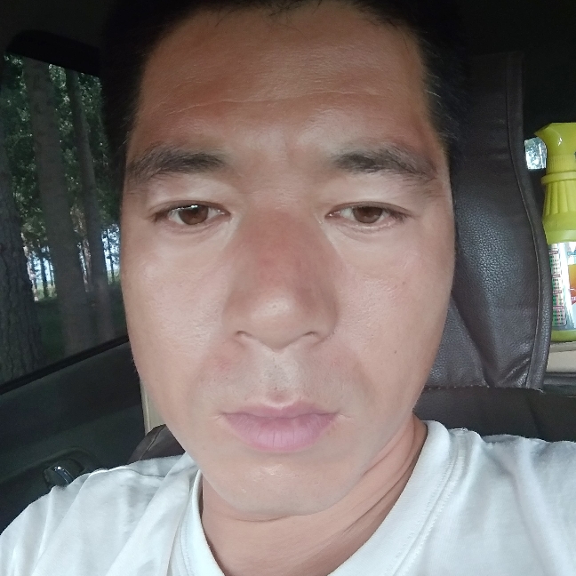 纸鹤踢大力的照片