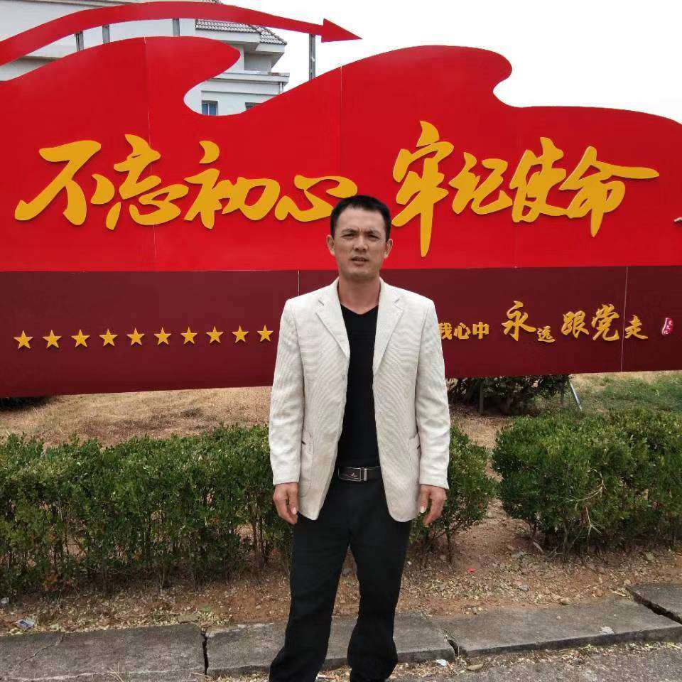 小蝴蝶吃醋含蓄的照片