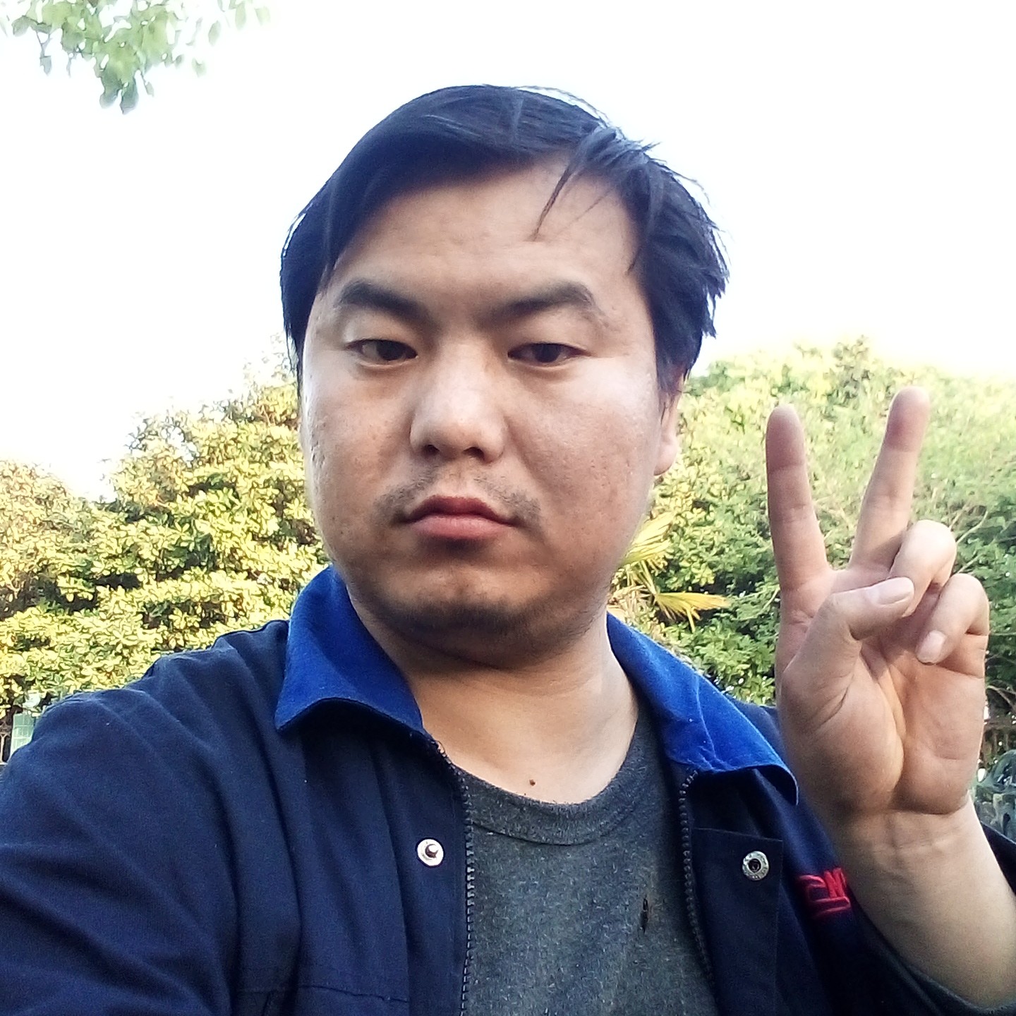 优美邂逅金针菇的照片