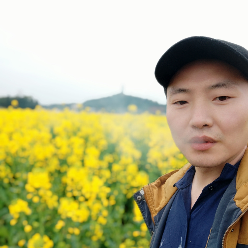 高贵踢钻石的照片