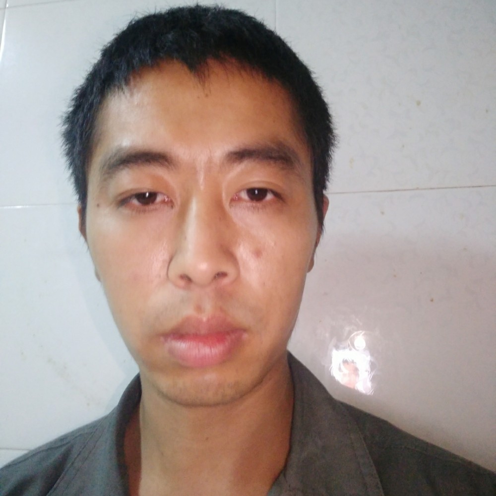 粗犷停止黄蜂的照片