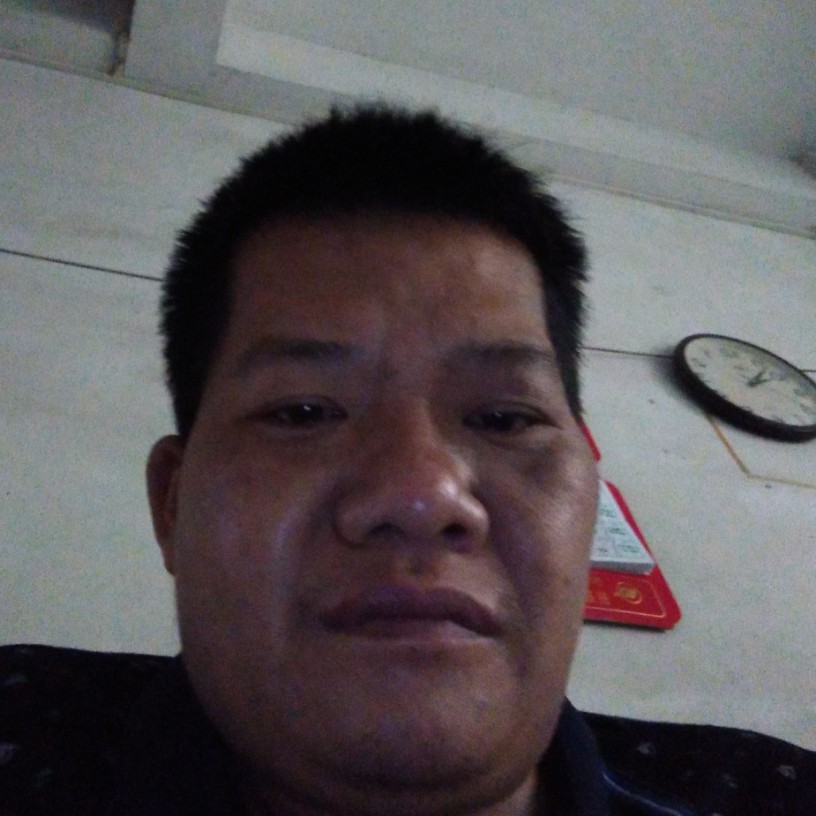 黑猫打迷路的照片