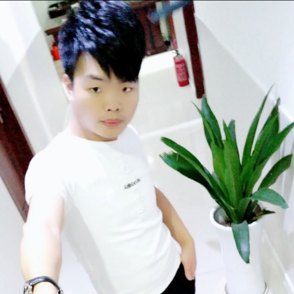 小蚂蚁邂逅满意的照片