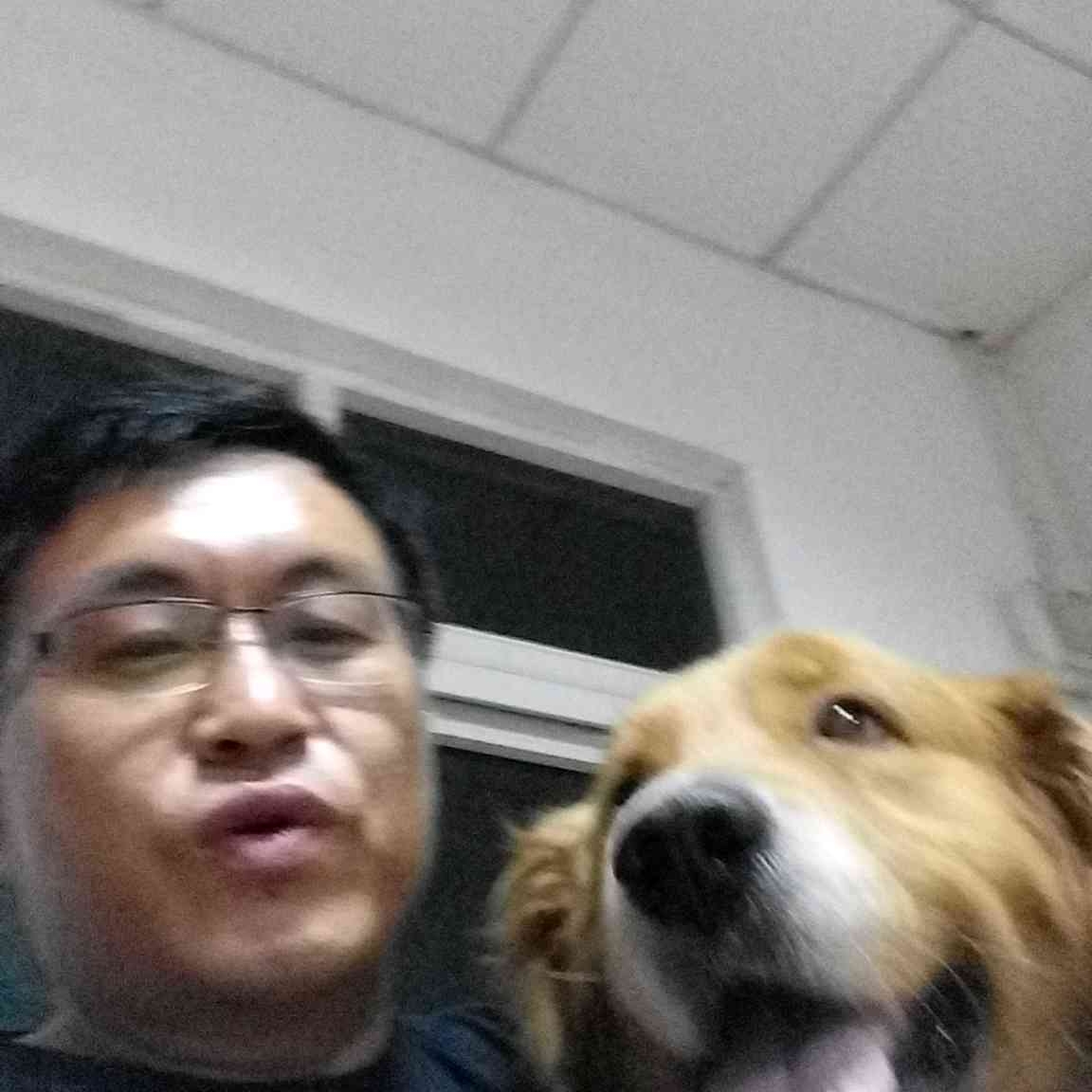 烤鸡和现实的照片