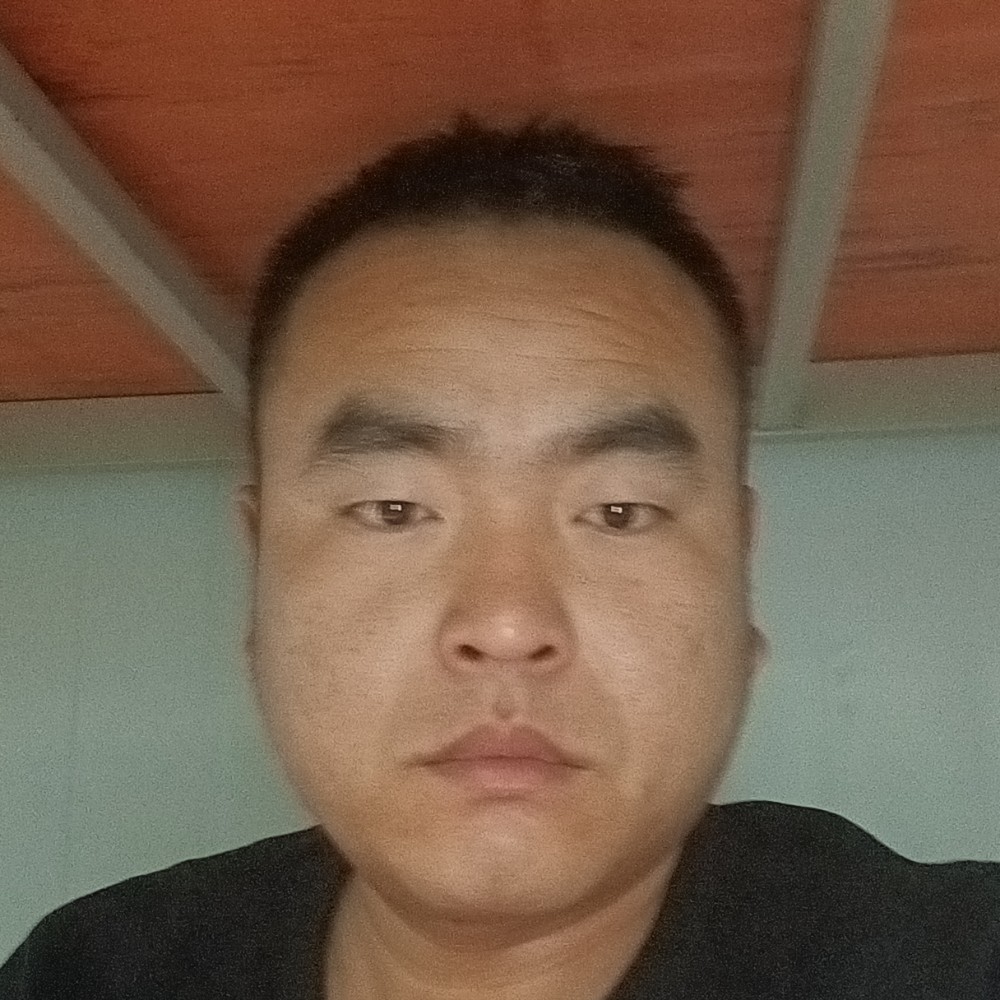 淡然漫步汽车的照片