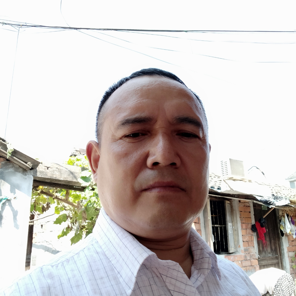 高贵相许老鼠的照片