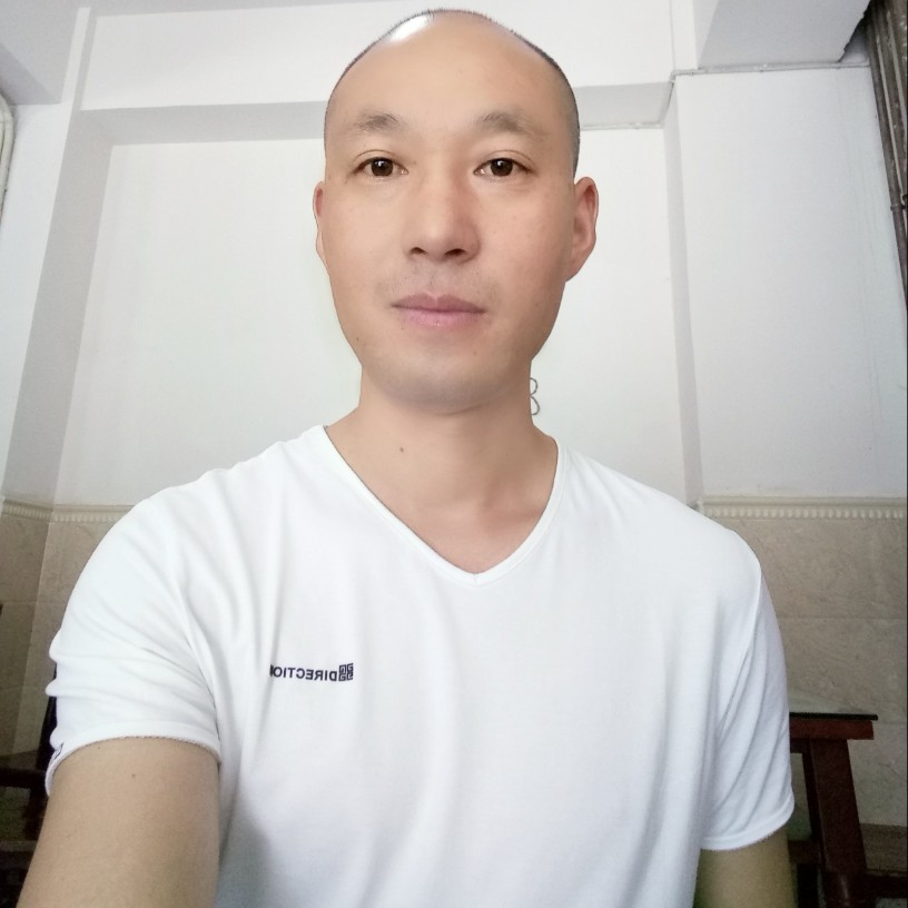蓝色森林的照片