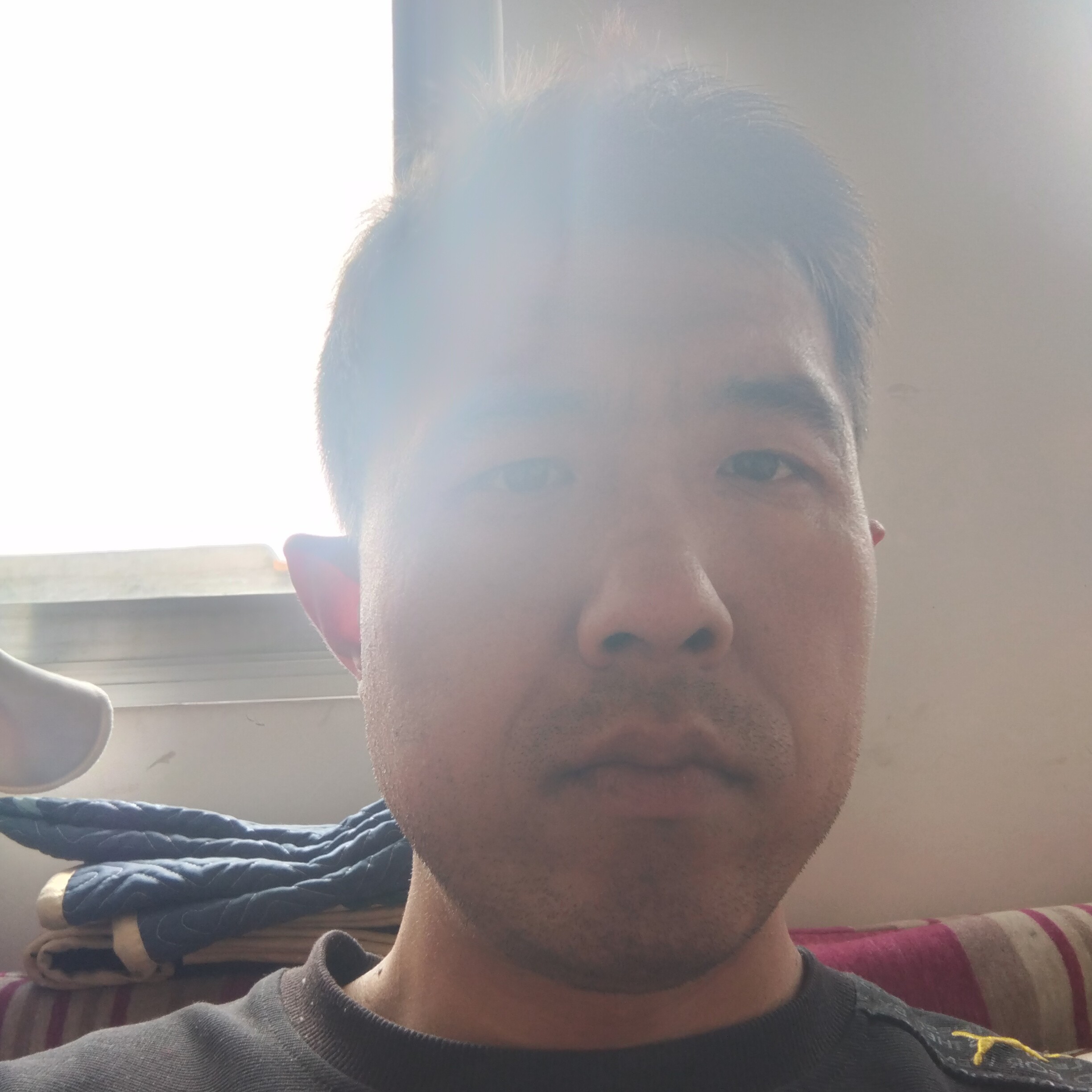 1辈子旳愿向日葵的照片
