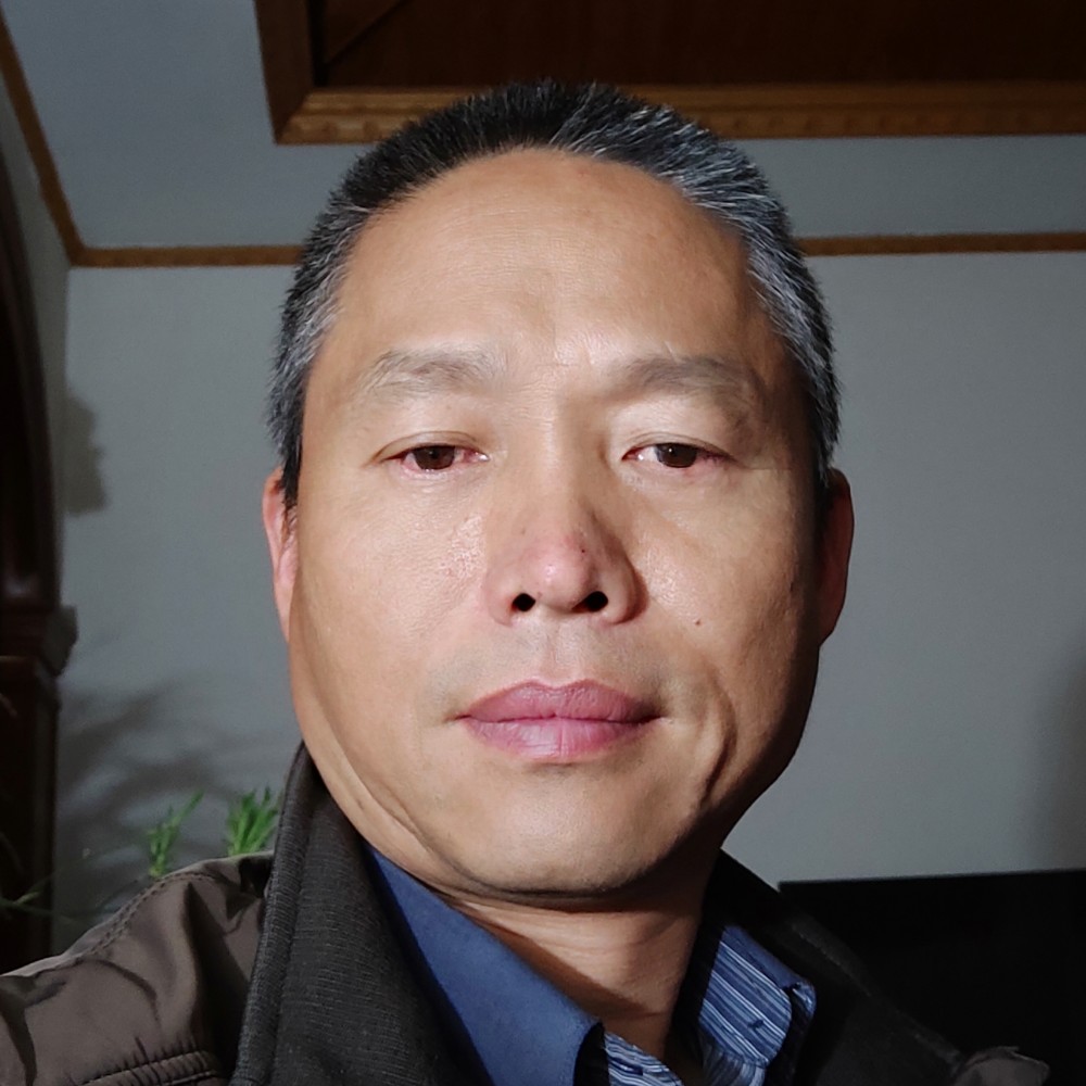 故意漫步鸭子的照片