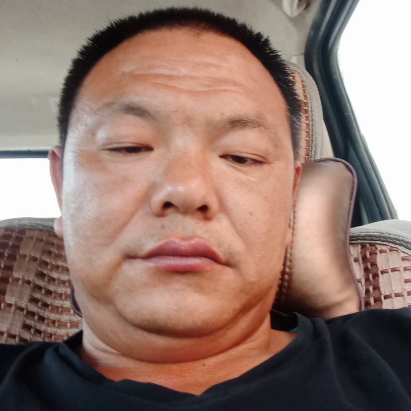 娇气爱恋羽毛的照片