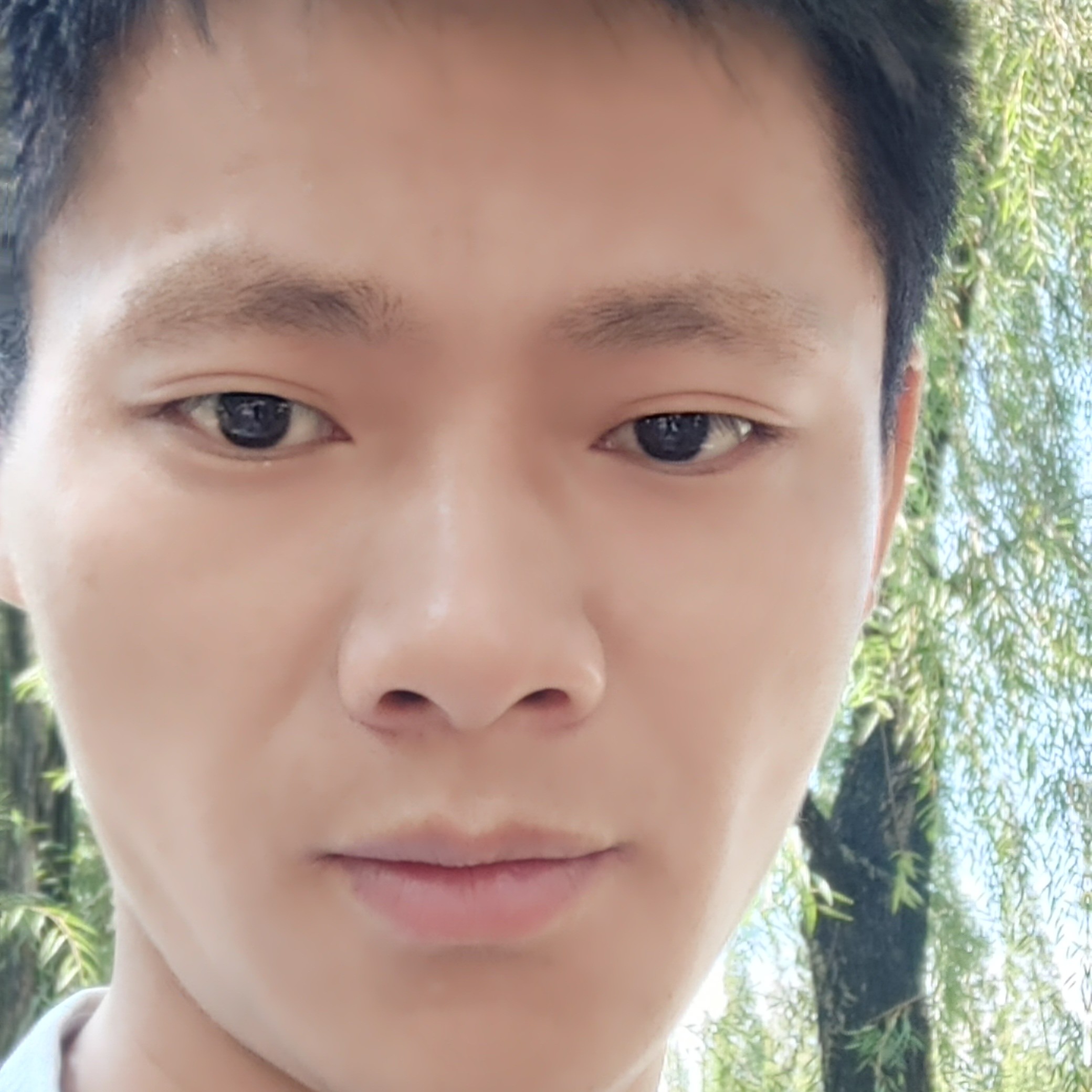 蛋挞向不解的的照片
