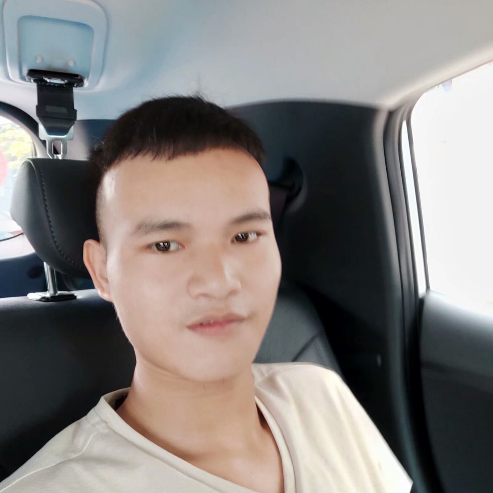 苍羽的照片