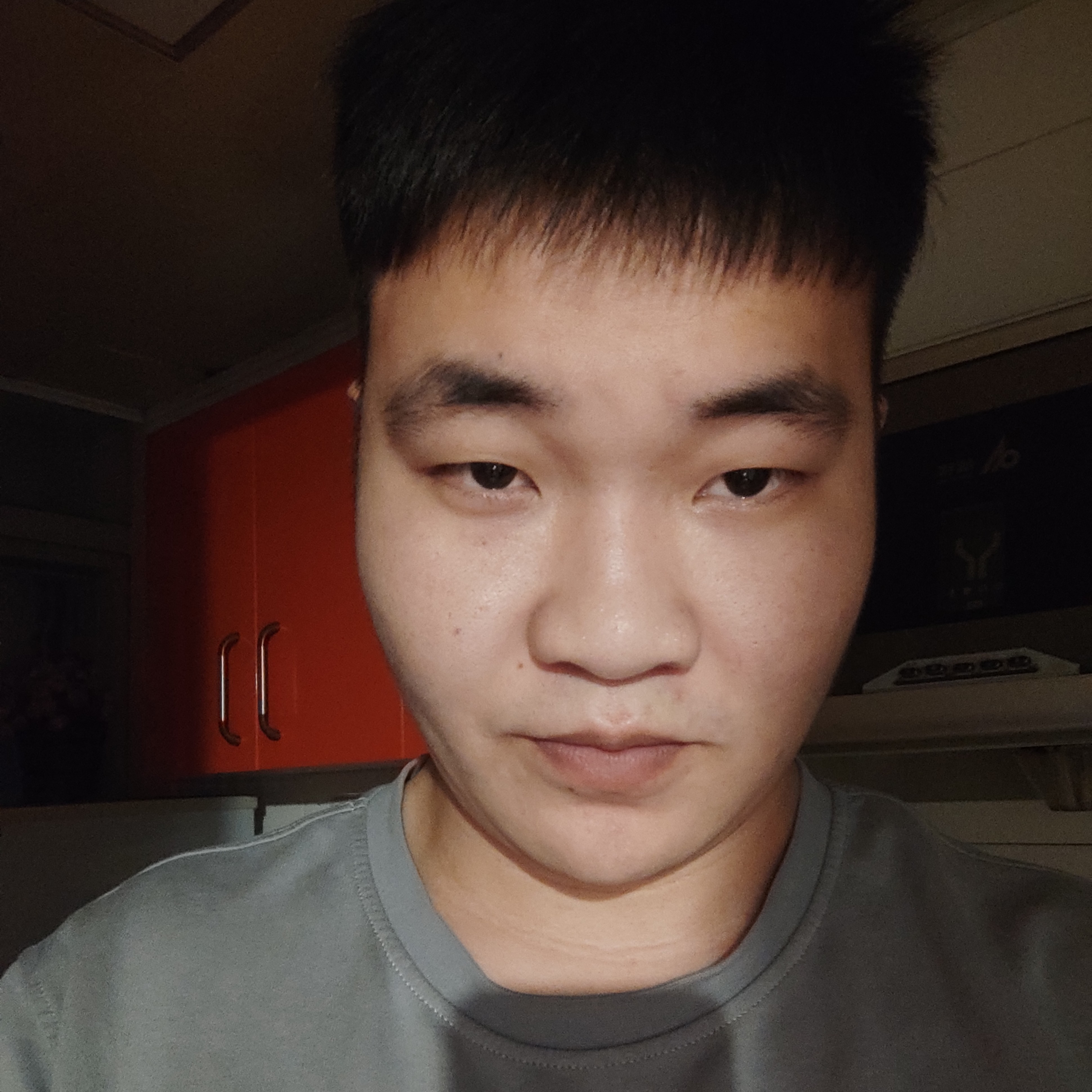 成长的孤狼的照片