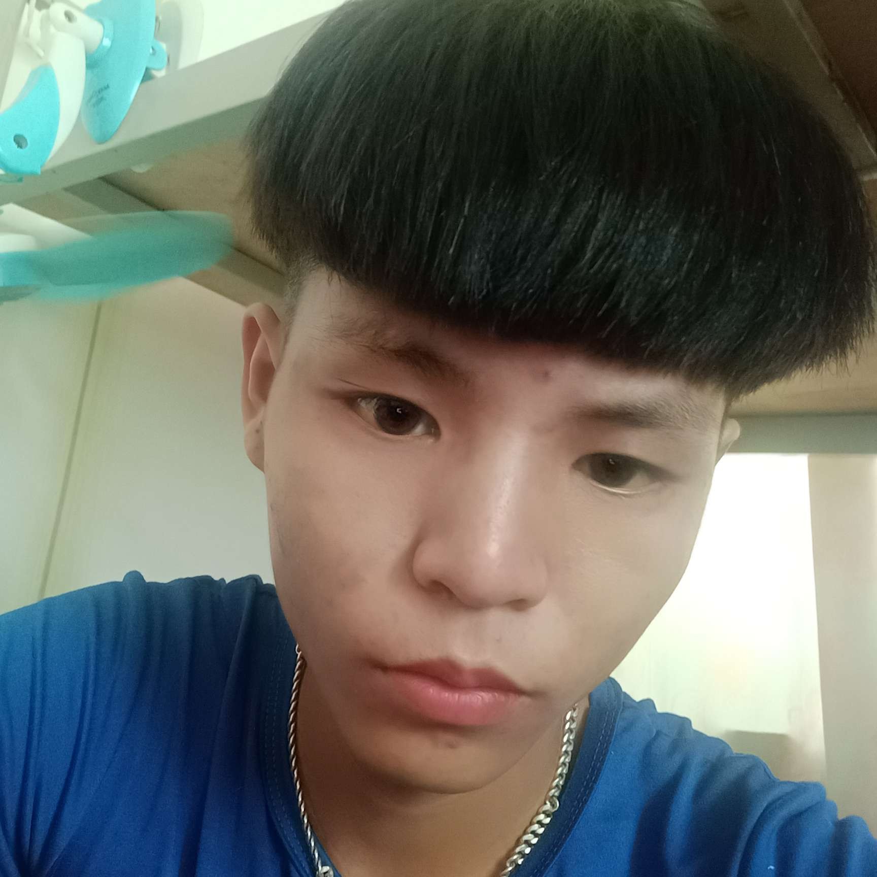 明亮有诺言的照片