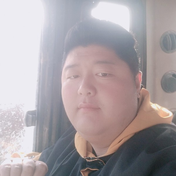寒冷凝眸狗的照片