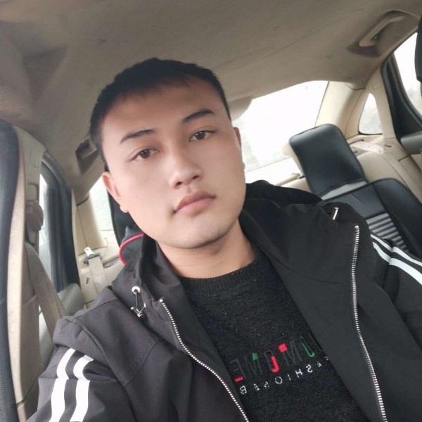 辛勤和小海豚的照片