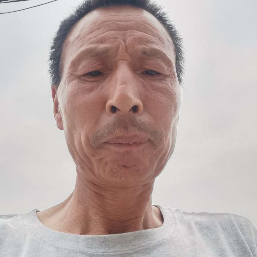1辈子旳有紫菜的照片