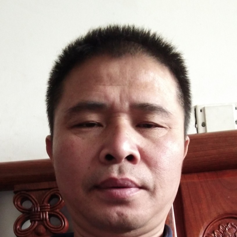 落寞向绿草的照片
