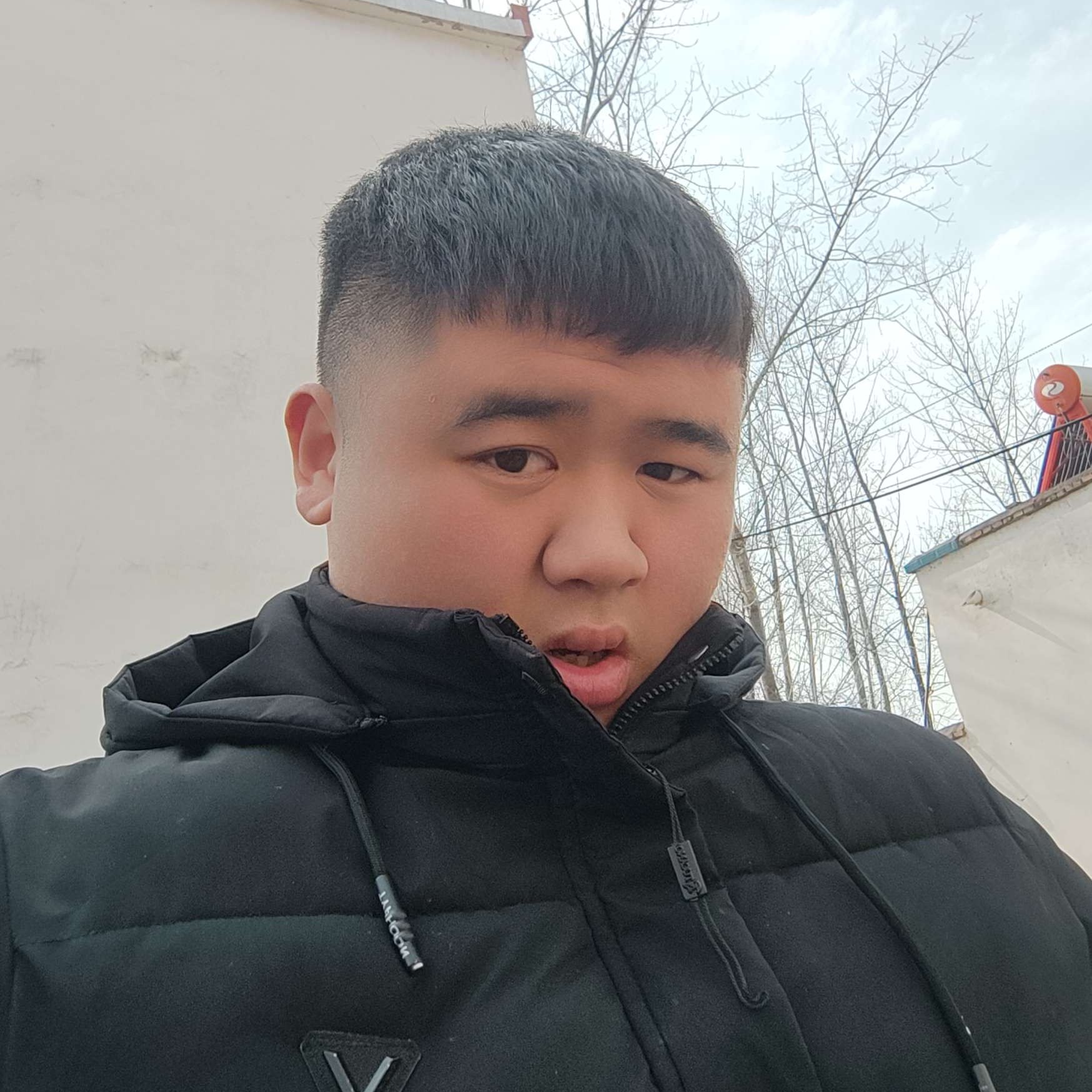 樱桃蹁跹温婉的照片