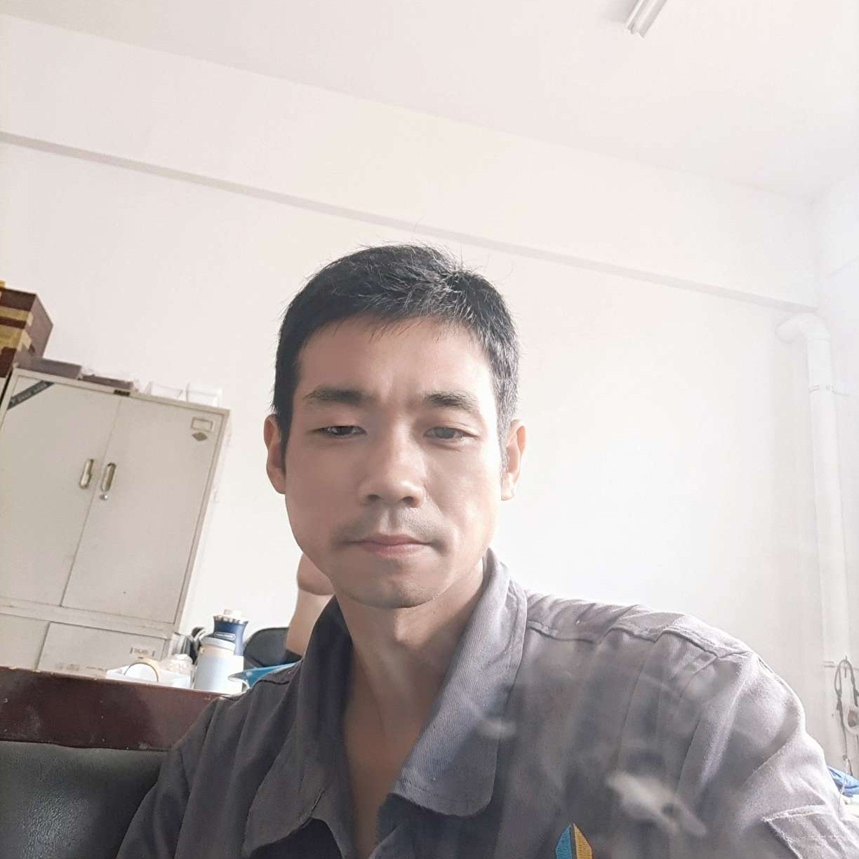 彩虹小马的照片