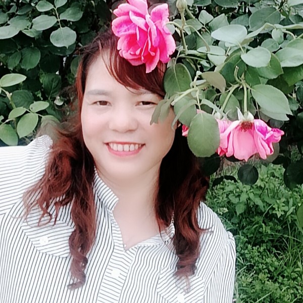 紫罗兰？的照片
