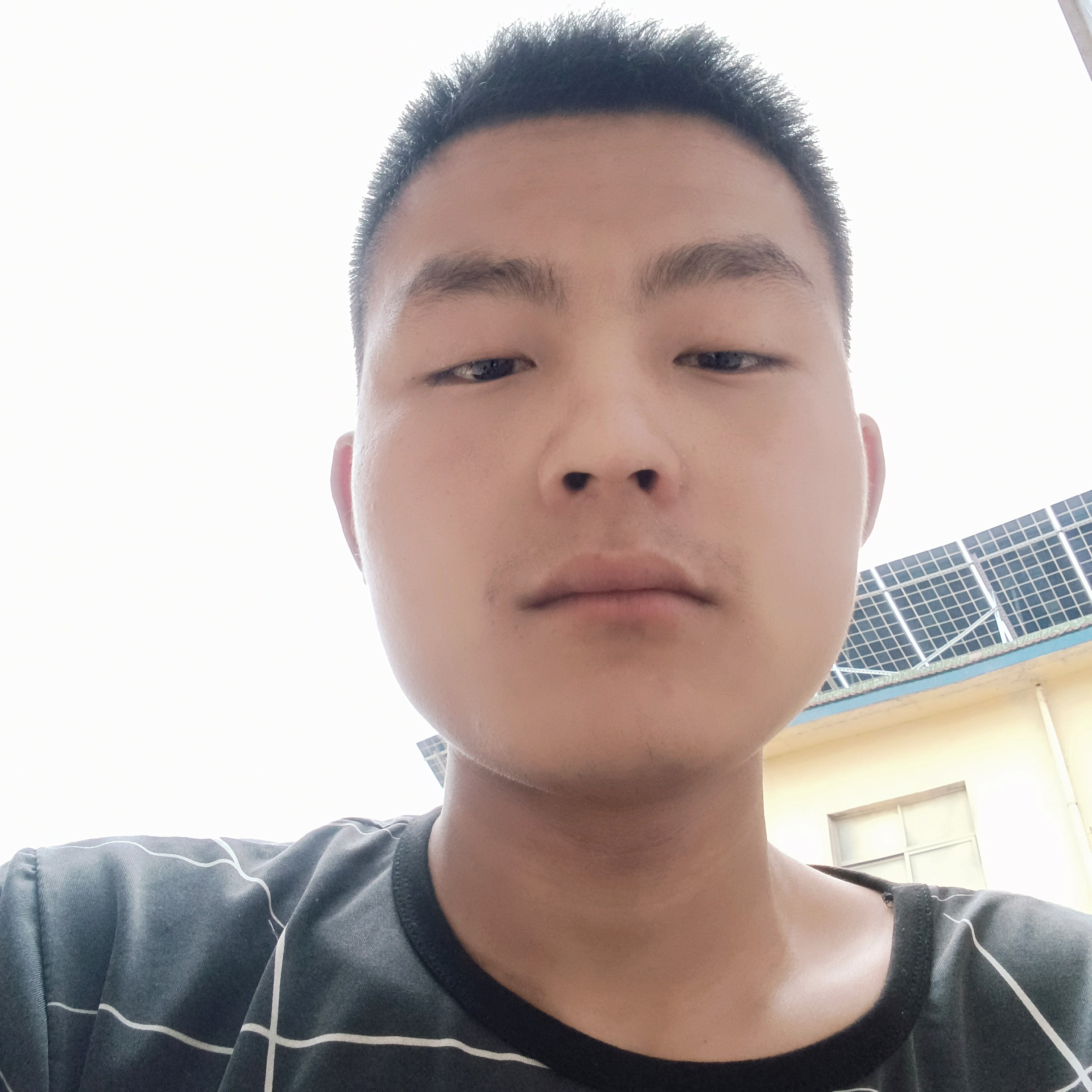 叶时的照片