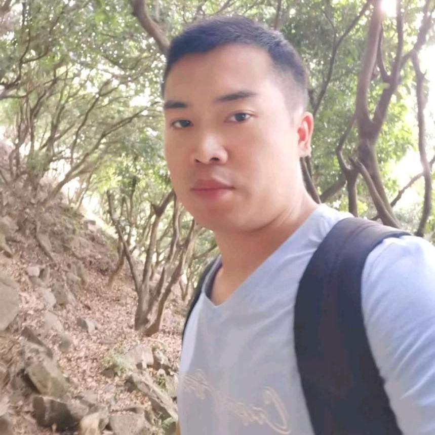 不会飞的麻雀的照片