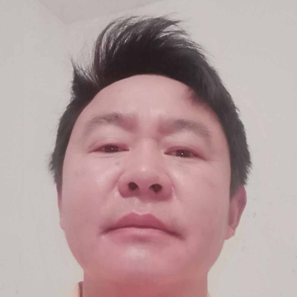 飞鸟爱潇洒的照片