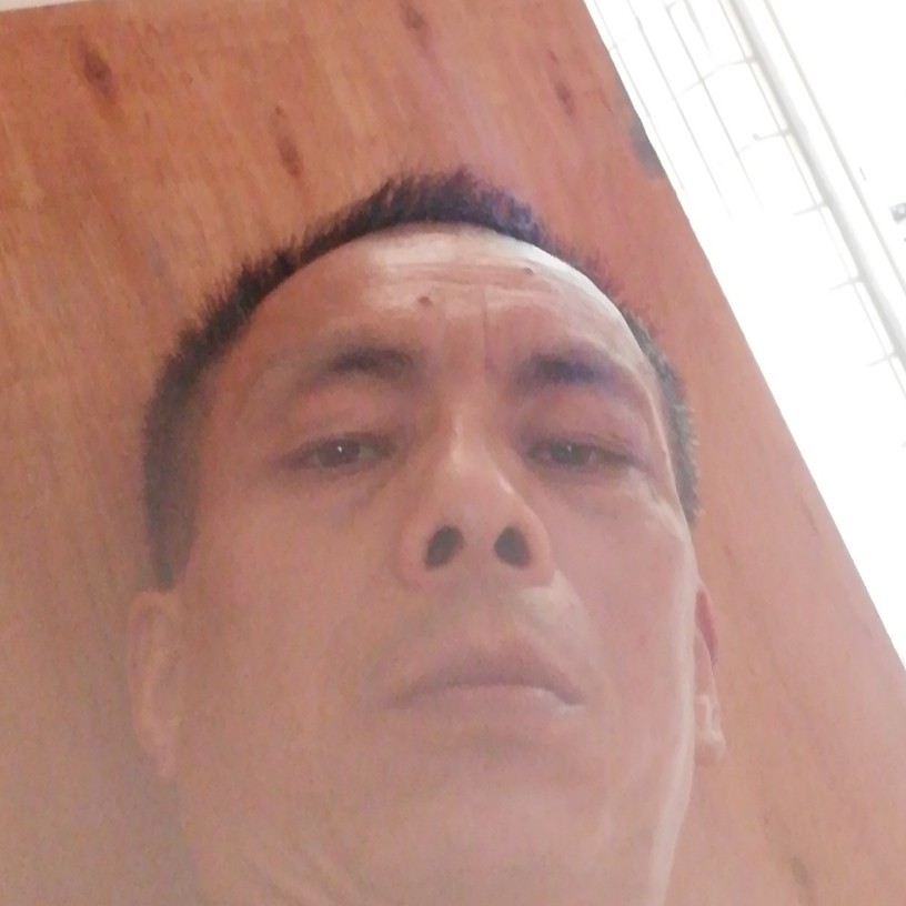 老虎放弃想人陪的照片