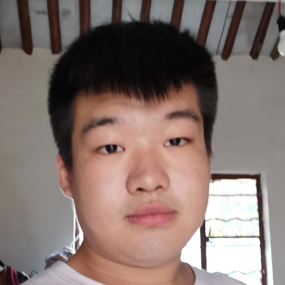 洁净凝眸玉米的照片