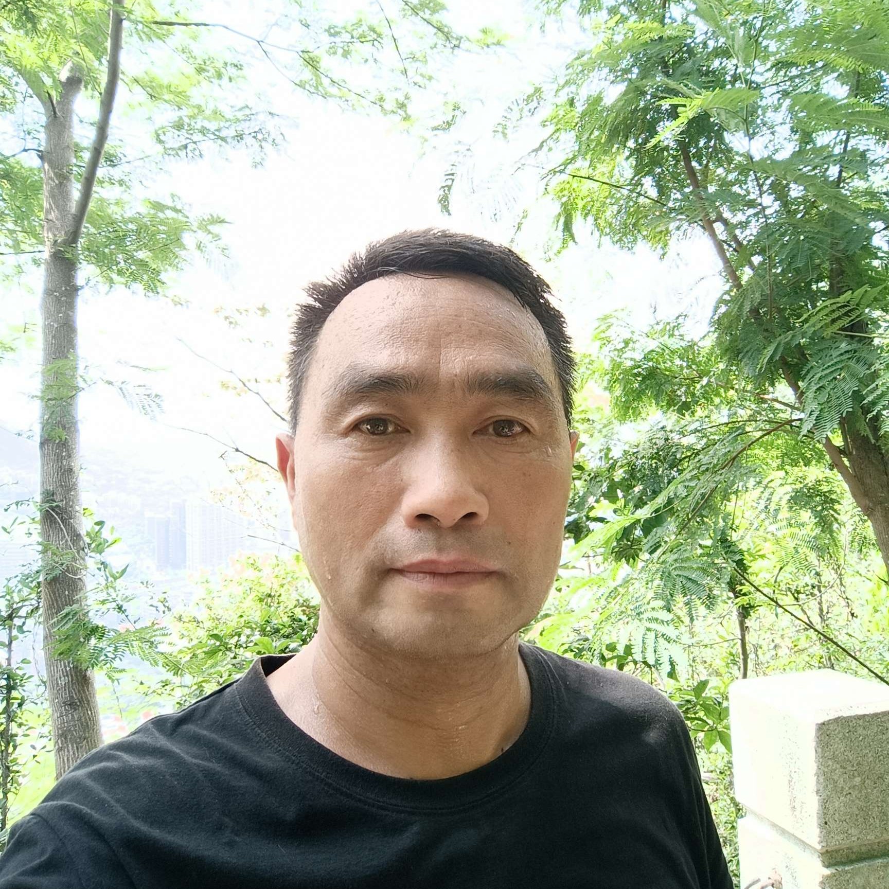 野狼那酷炫的照片