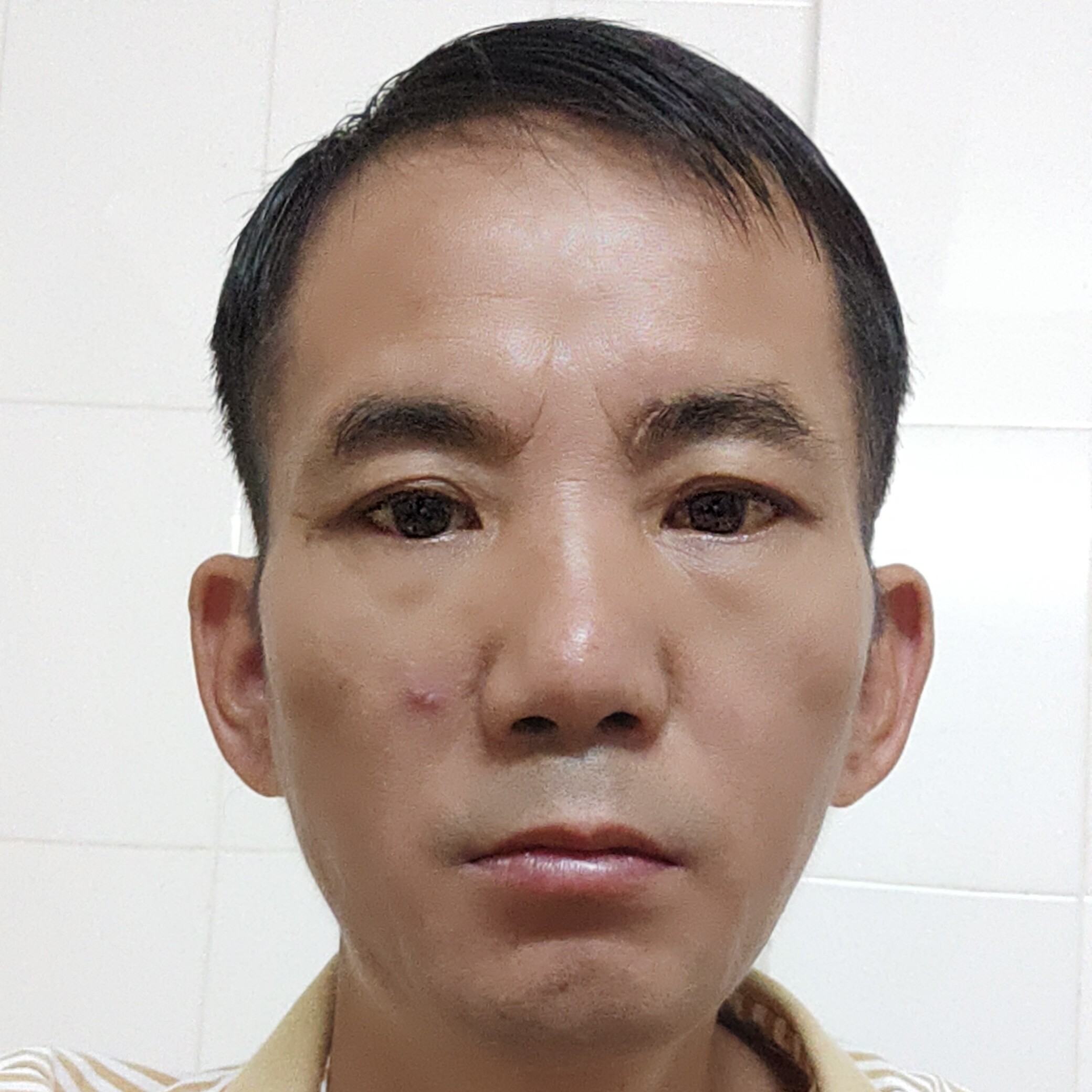 南国雄鹰的照片