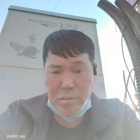 沉静浅吻玫瑰的照片