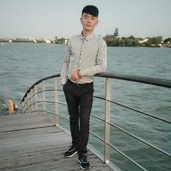 朴实的河马的照片