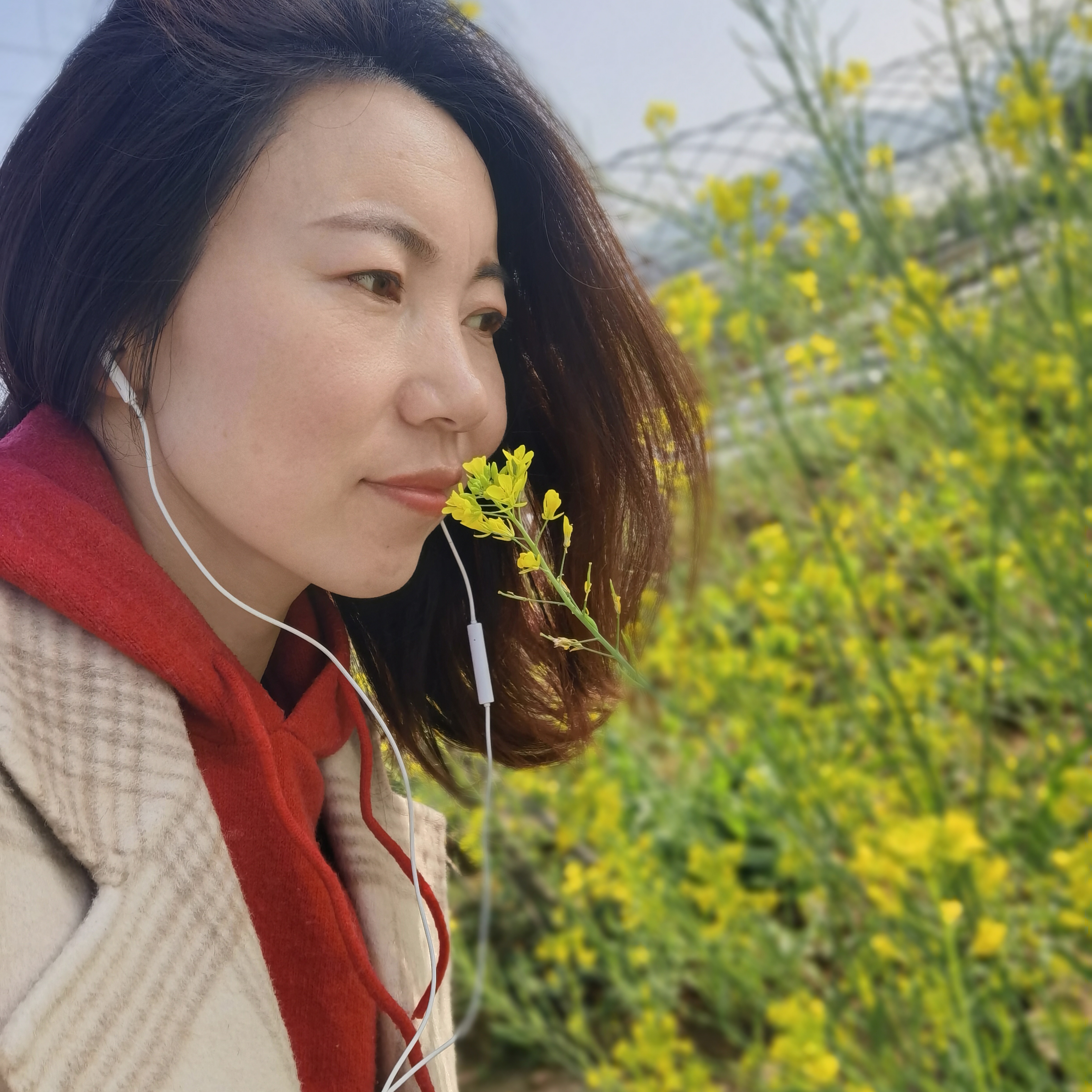 大门吃醋热心的照片