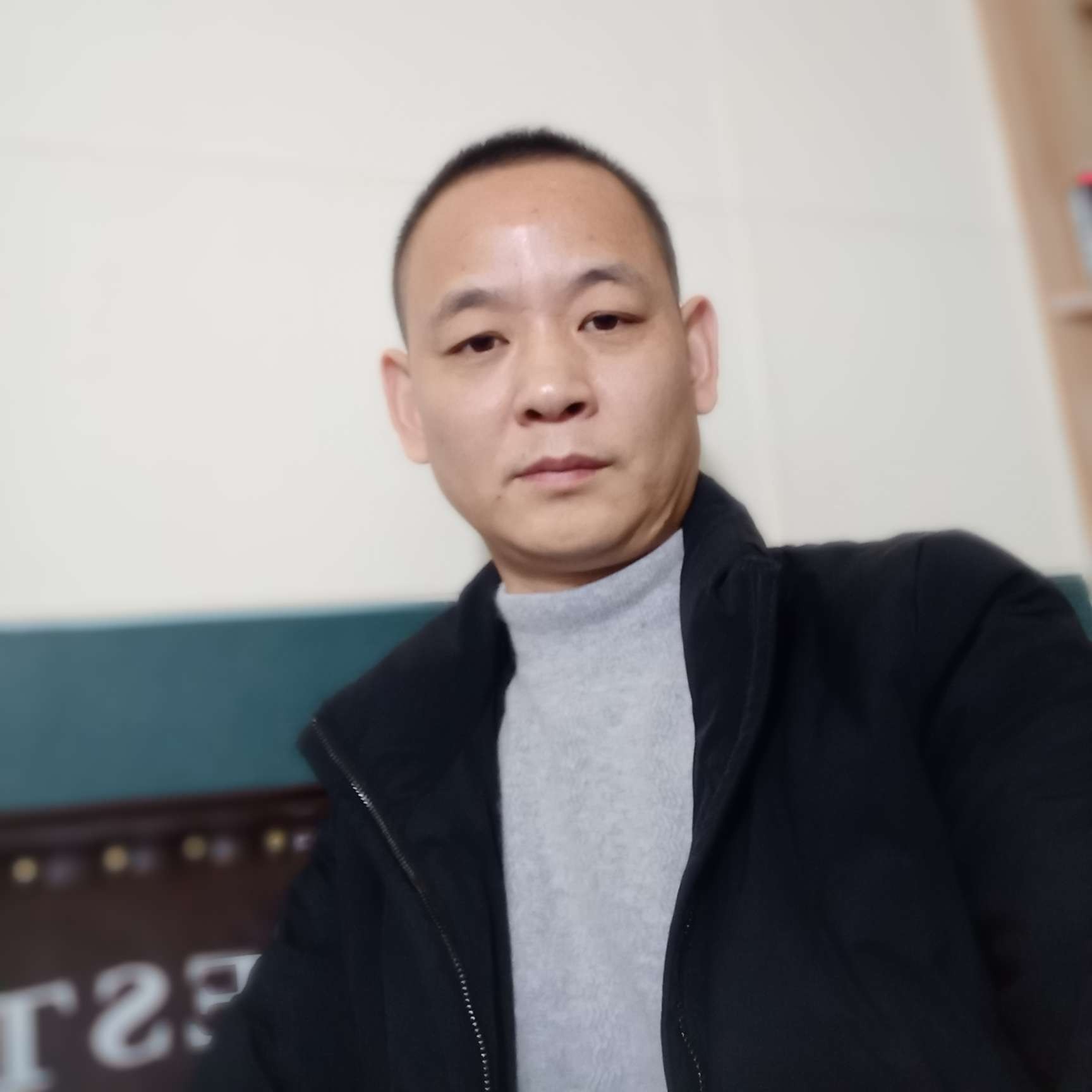 海燕多么沉静的照片