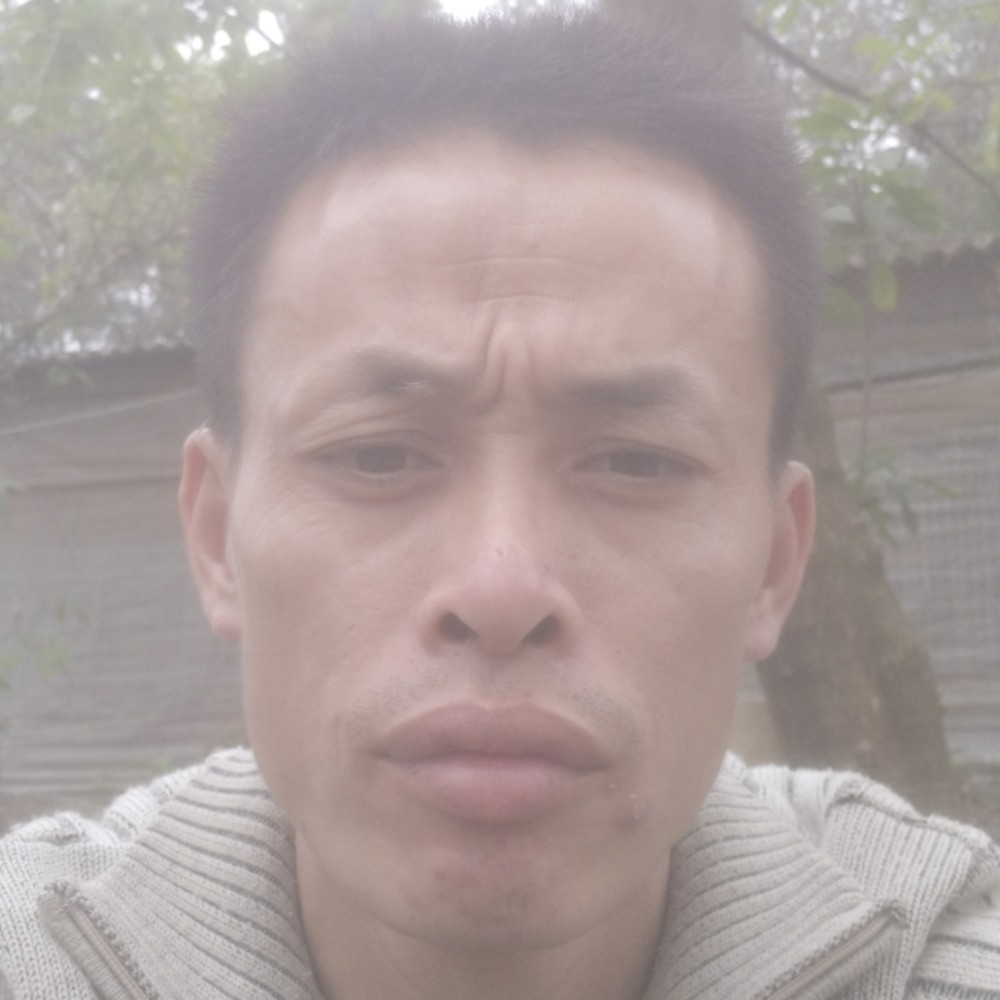 糊涂雨糊涂点的照片