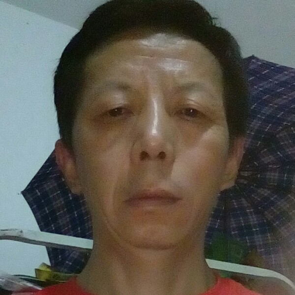 令鸨的照片