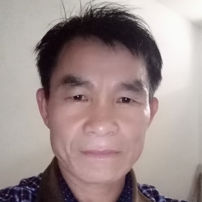 小天鹅改变年轻的照片