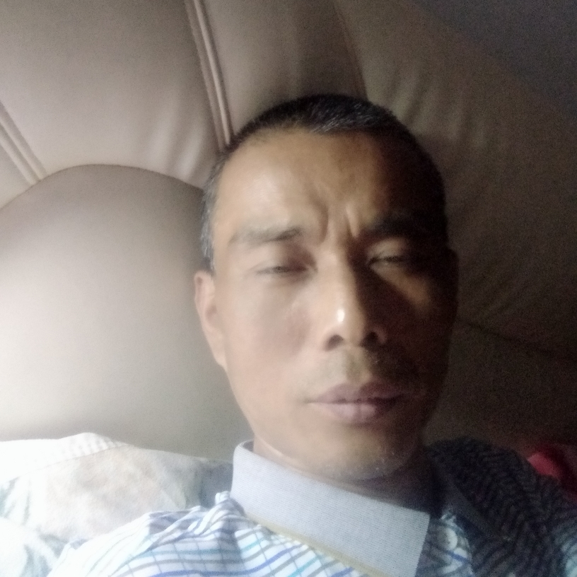 结实深拥逐风的照片