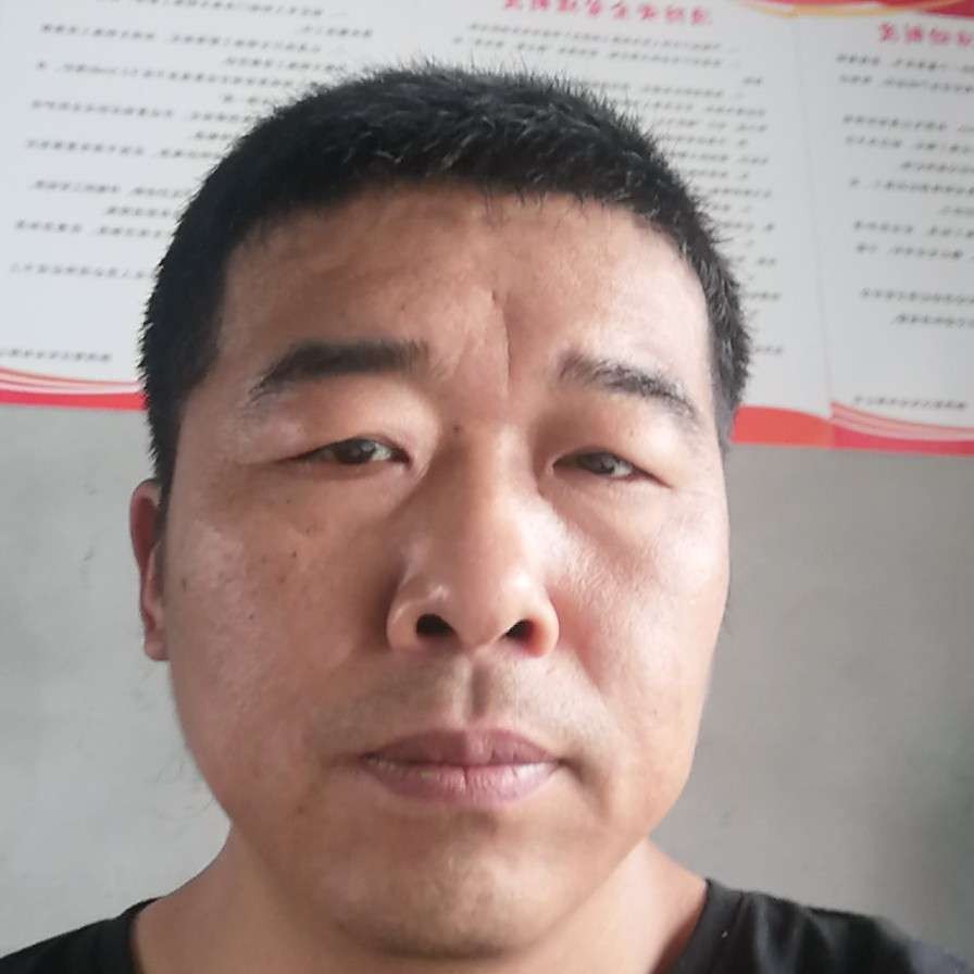 海燕爱霸气的照片