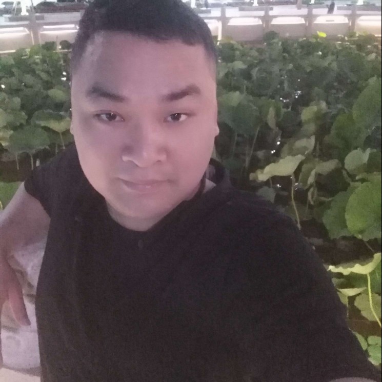 开心平淡的照片