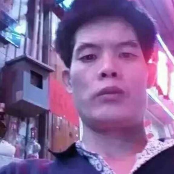 小猫咪苦恋傲娇的照片