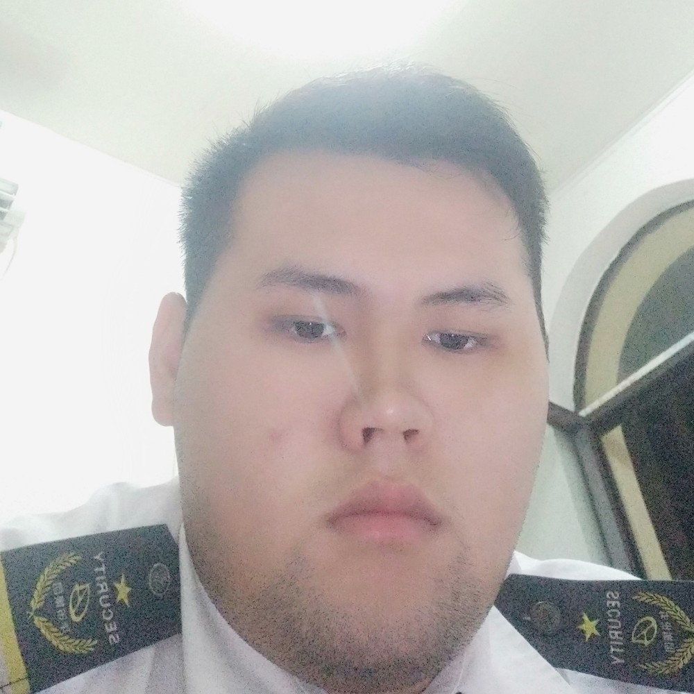 我们的保卫斑马的照片
