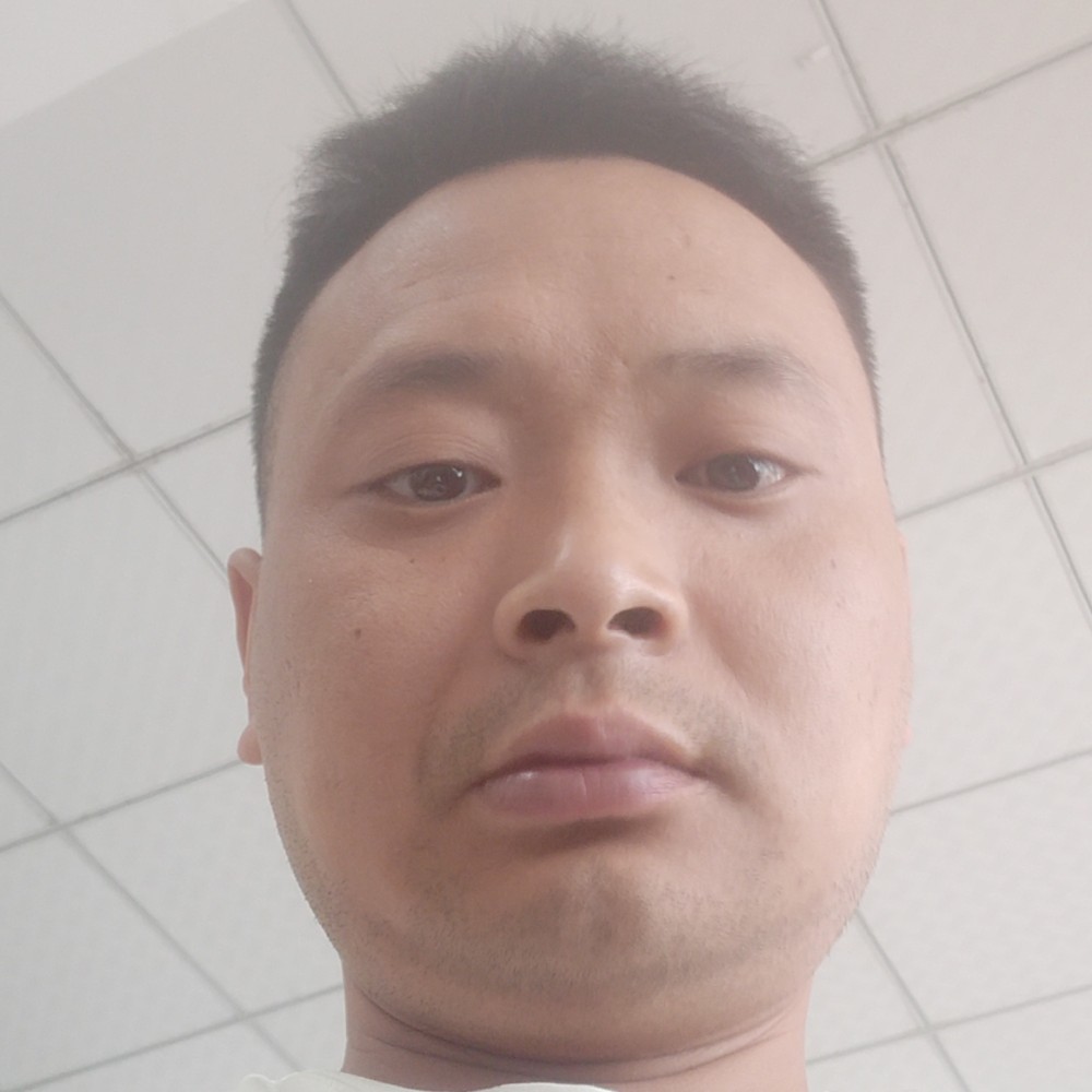 冰棍停止糟糕的照片