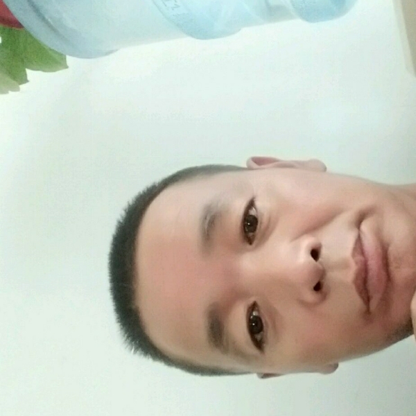 河马請隐忍的照片
