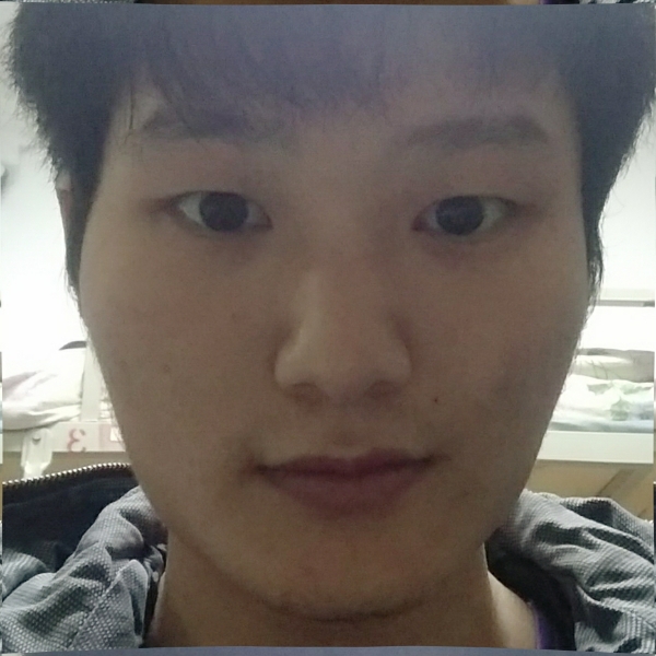 刺猬放弃踏实的照片